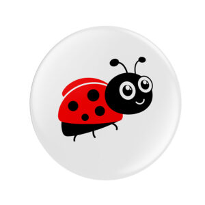 Ladybug